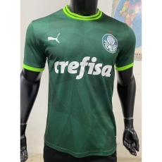 Fan version 2324 Palmeiras home